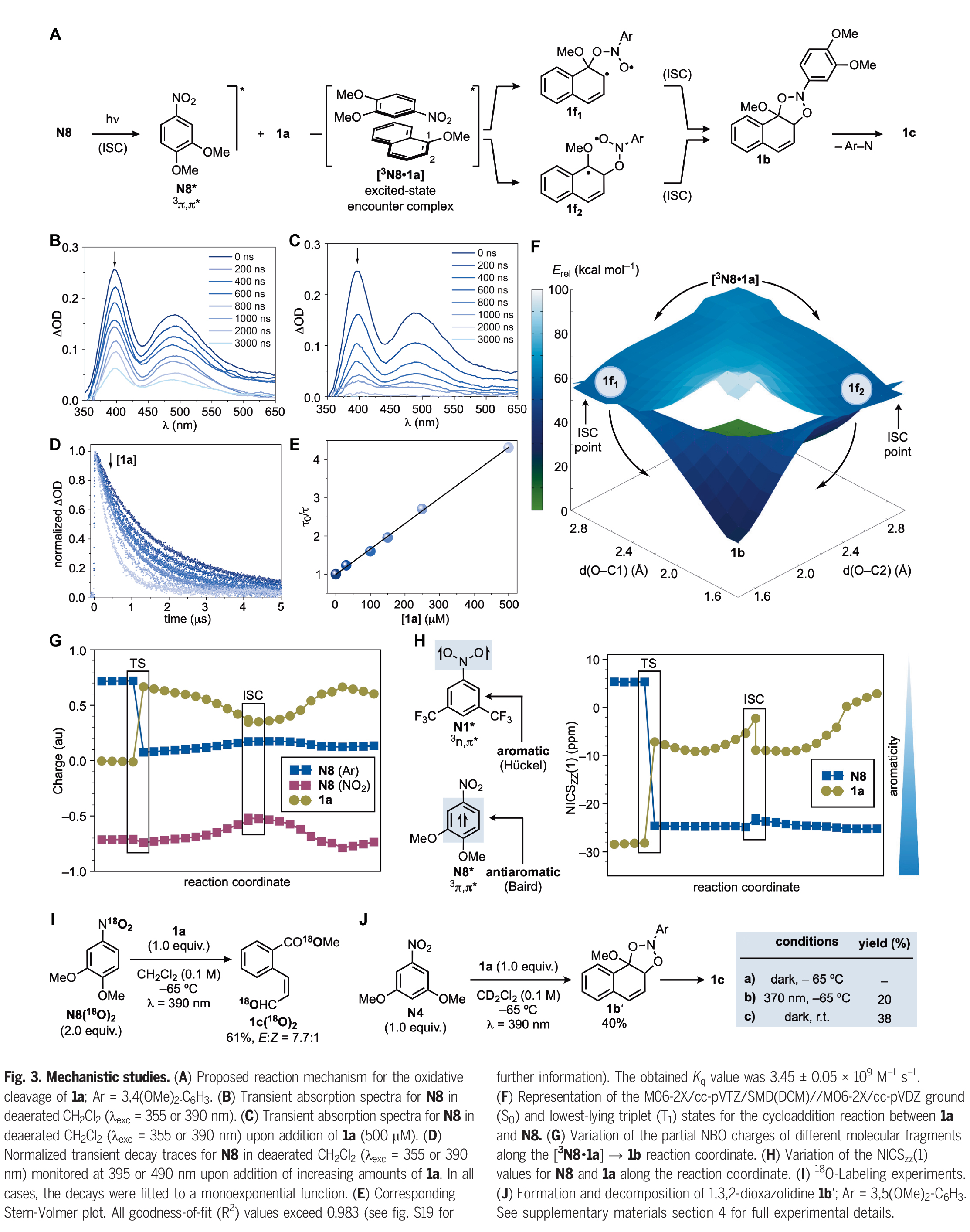 1742454800306867.jpg 4.jpg