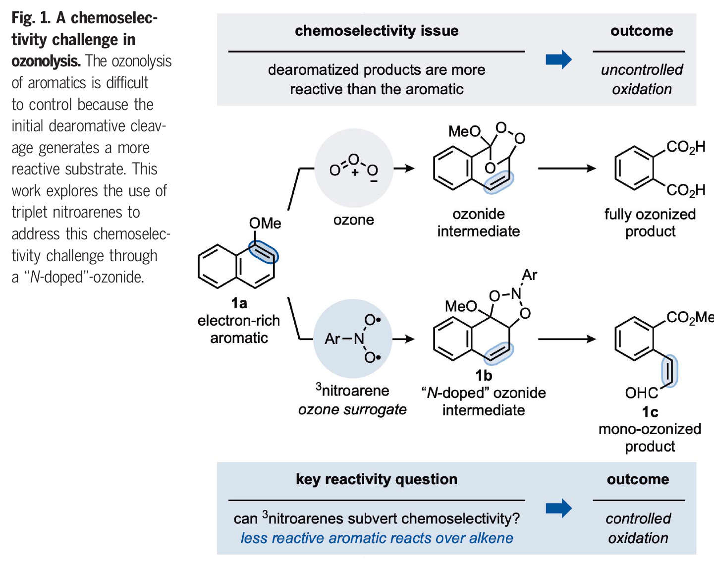 1742454817818962.jpg 2.jpg