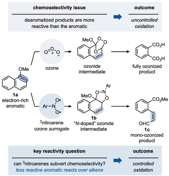 1742454820391052.png 1.png