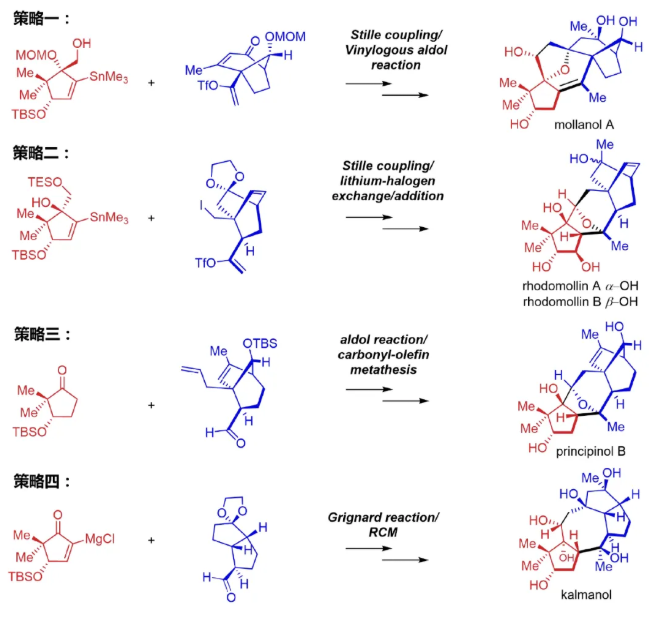 1742535491849504.png image.png