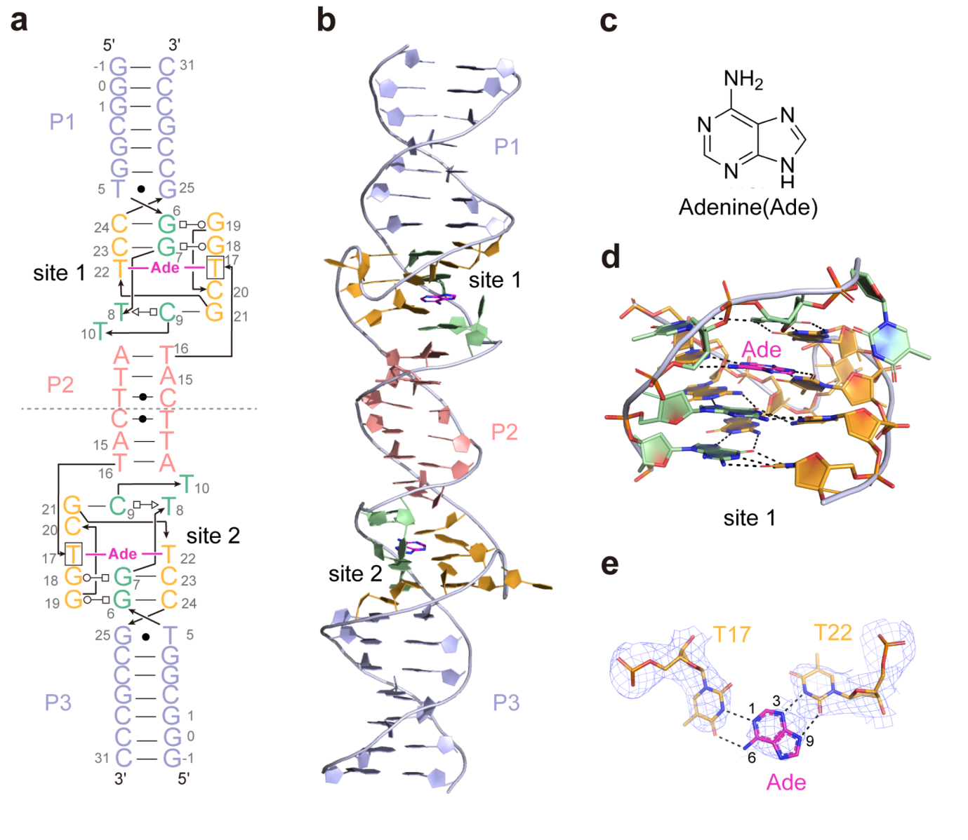 1742807381846046.png 圖片6.png