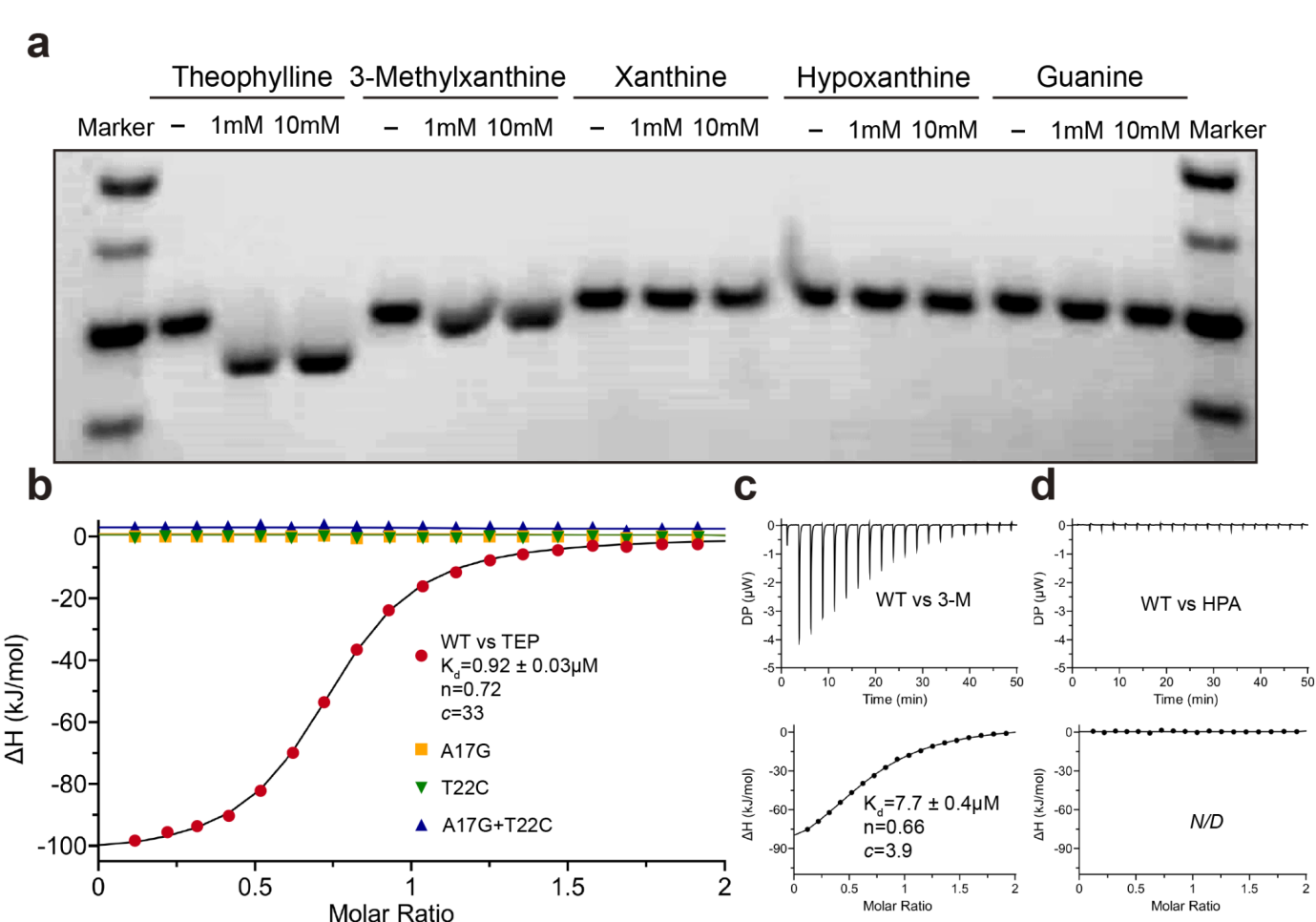 1742807391640655.png 圖片4.png