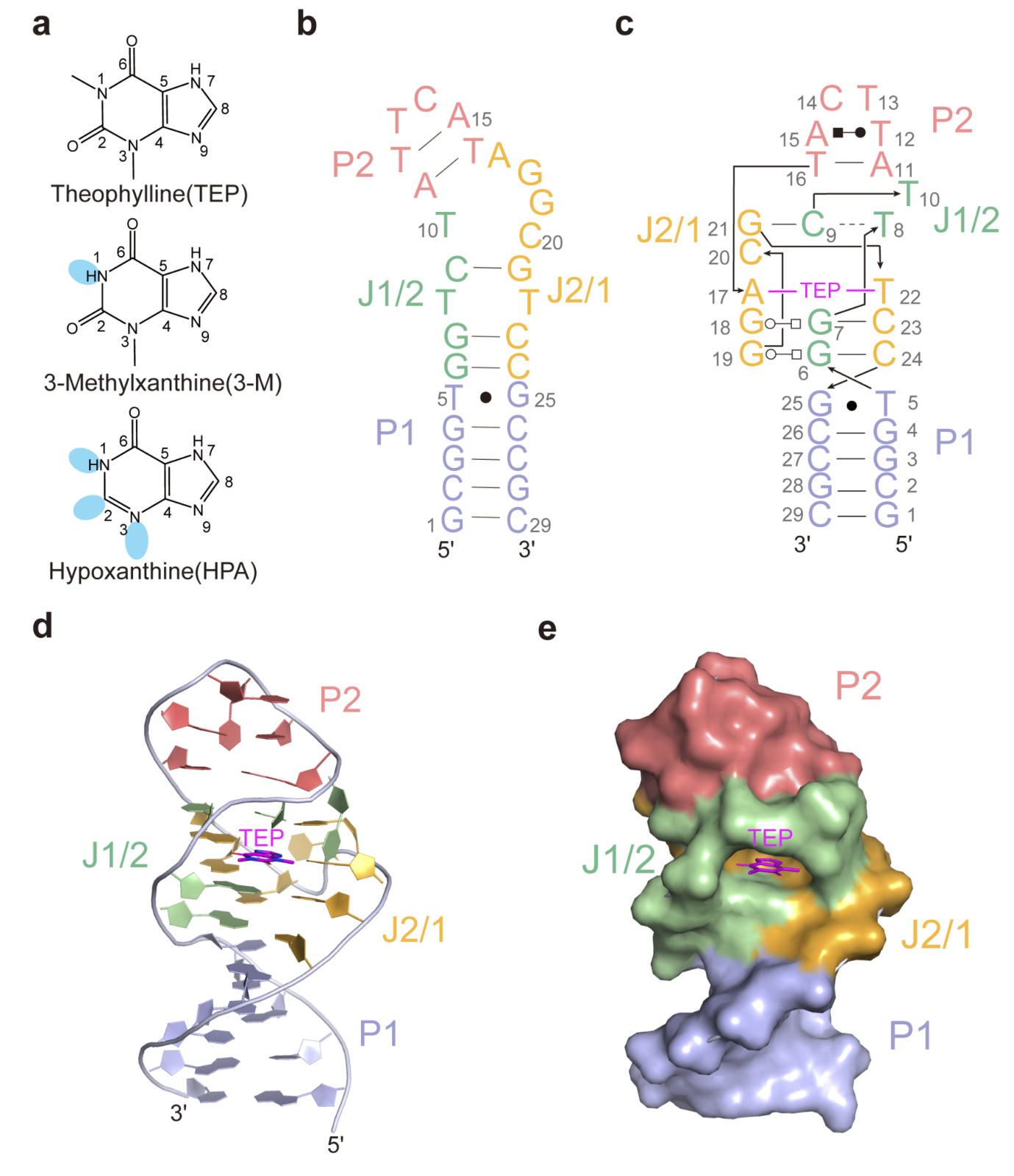 1742807402818722.png 圖片2.png