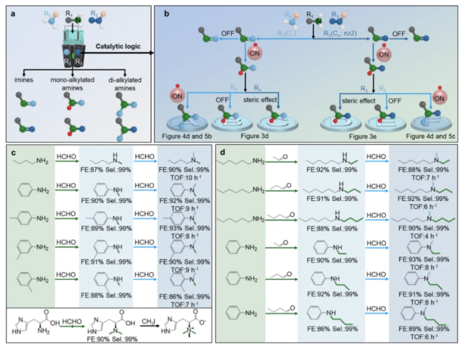 1742951499467302.png image.png