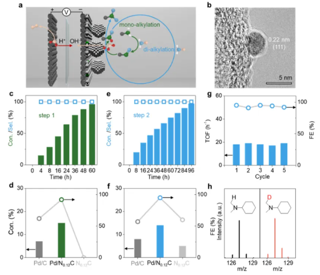 1742951553122142.png image.png