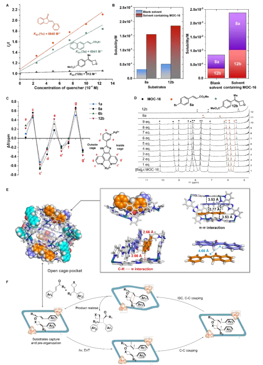 1742951698583727.png image.png