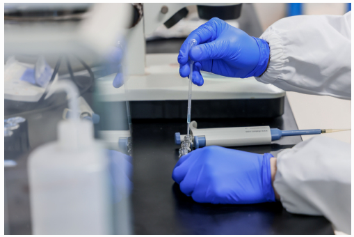 1744338567987712.png image.png