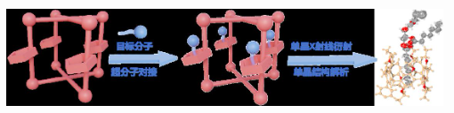 1744338572251101.png image.png