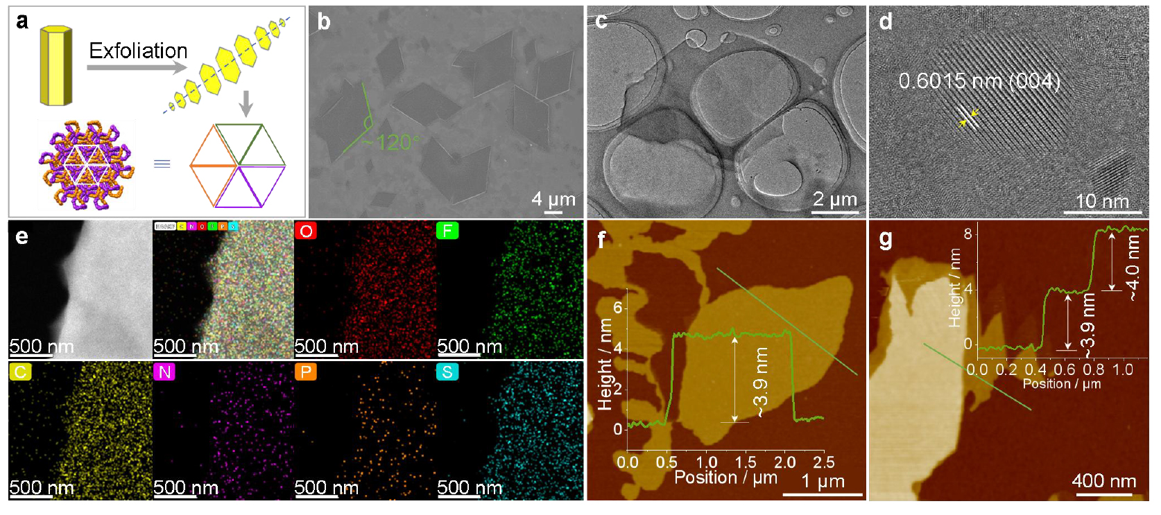 1744773664801005.jpg 6.jpg