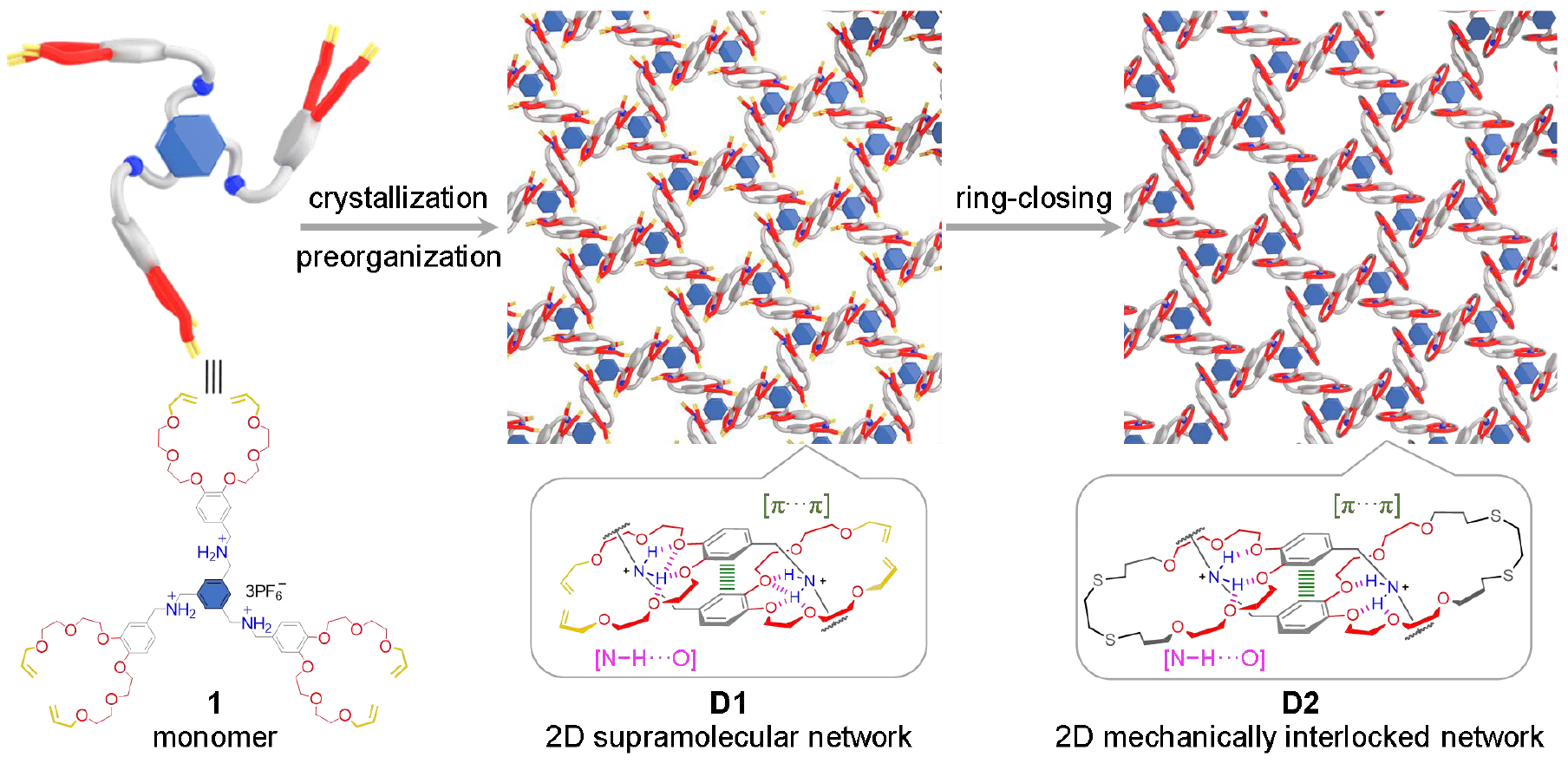 1744773683267375.jpg 1.jpg