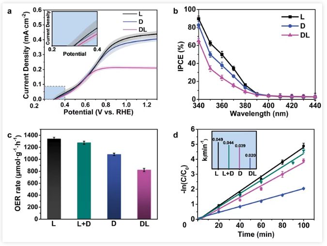 1745203702911228.png image.png