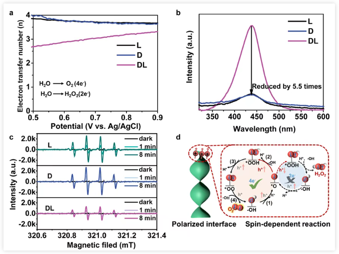 1745204053585219.png image.png