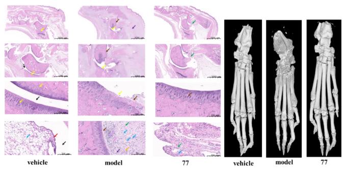 1745223437578059.png image.png