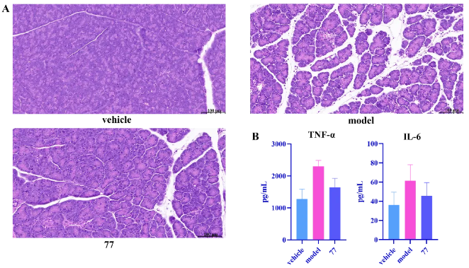 1745223445309157.png image.png