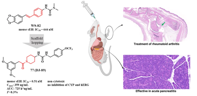 1745223454772245.png image.png