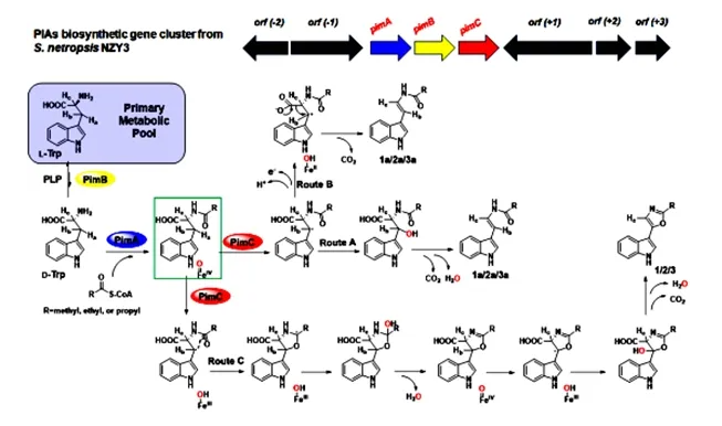 1745223933788773.png image.png