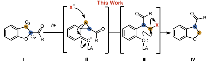 1747020973881245.png 1.png