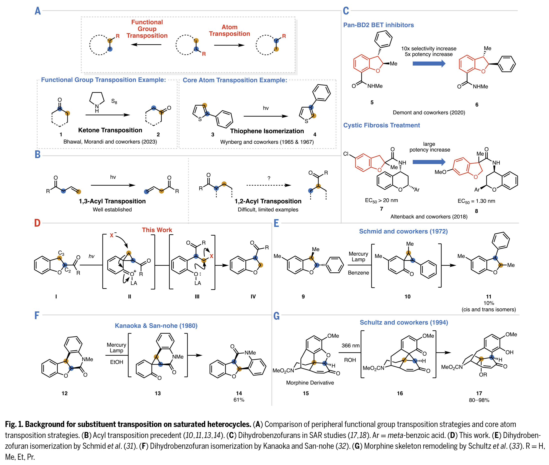 1747020978522232.jpg 2.jpg