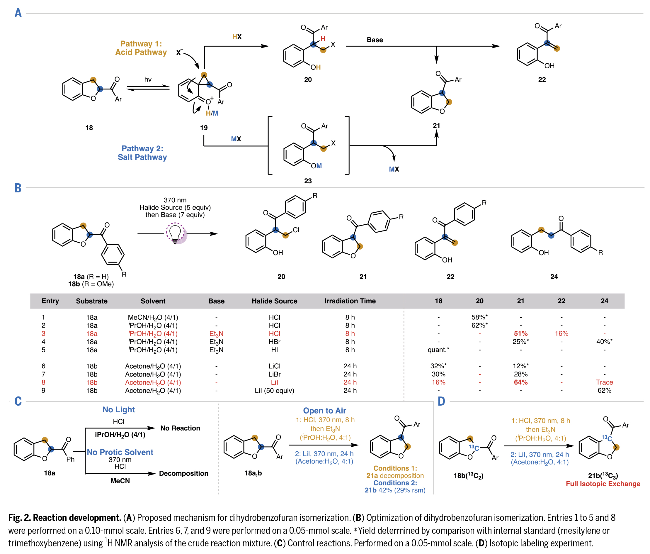 1747020983786250.jpg 3.jpg