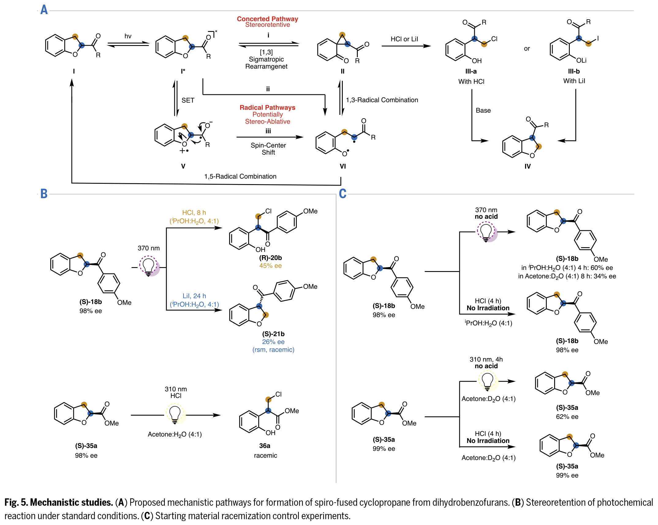 1747021001775429.jpg 6.jpg