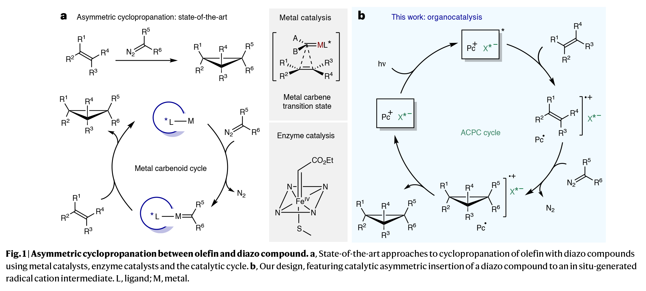 1748248839768658.jpg 2.jpg