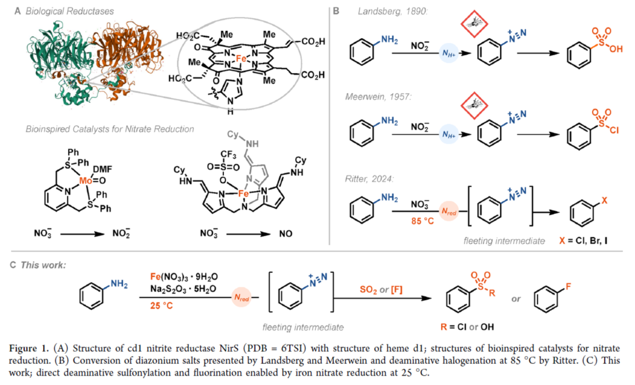 1748317716907687.png 圖片2.png