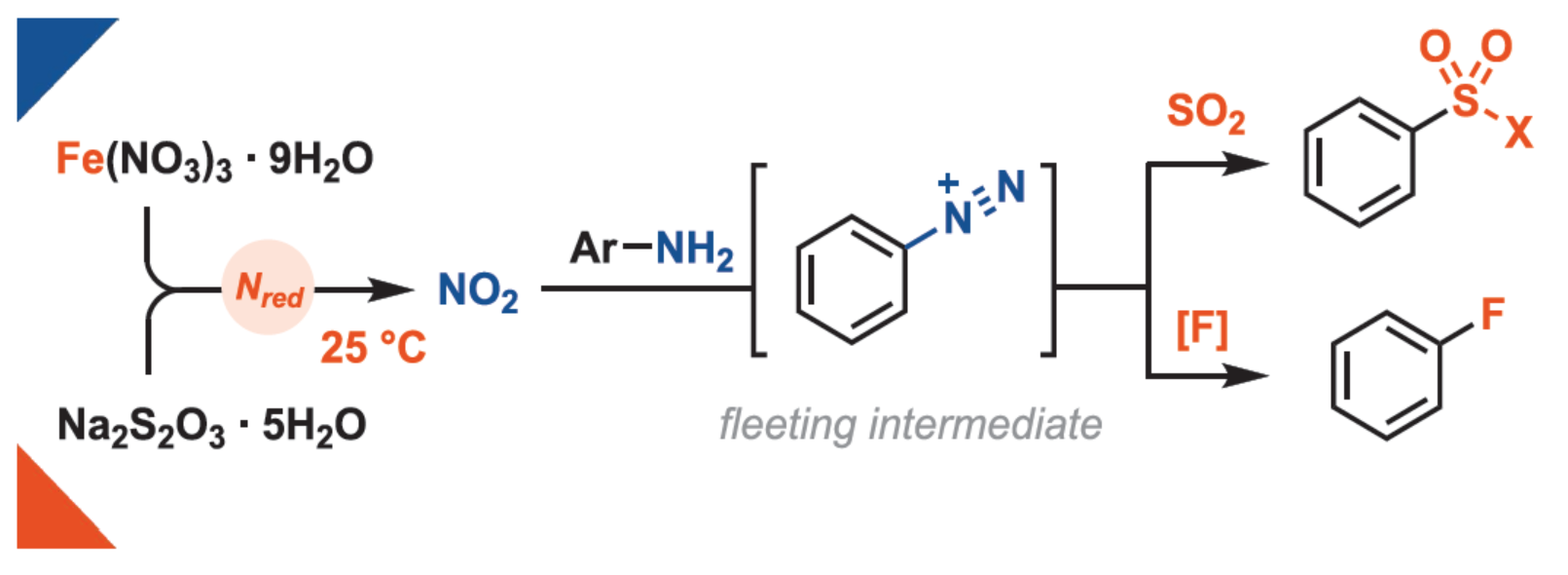 1748317721467626.png 圖片1.png