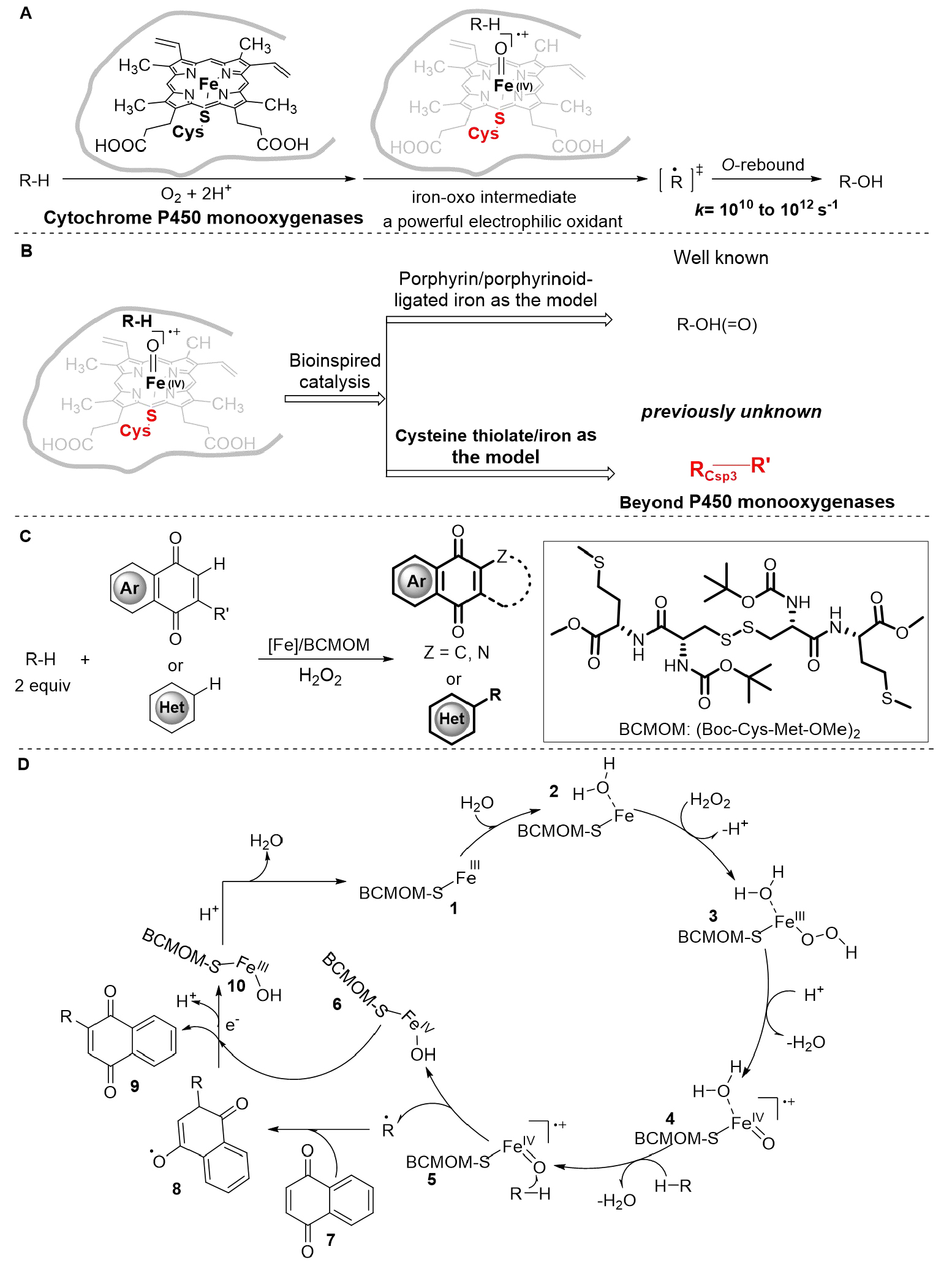 1748415111391398.jpg 1.jpg