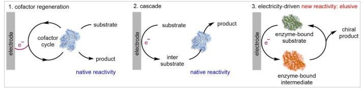 1748500079944247.png image.png