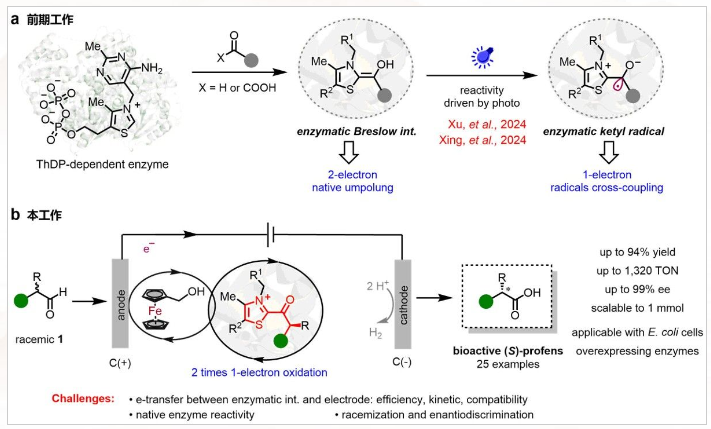 1748500089197052.png image.png