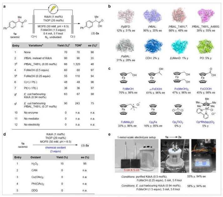 1748500098691016.png image.png