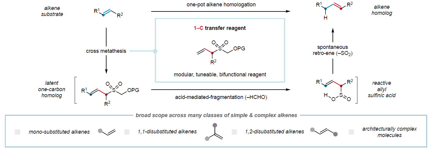 1748919807416548.png 1.png