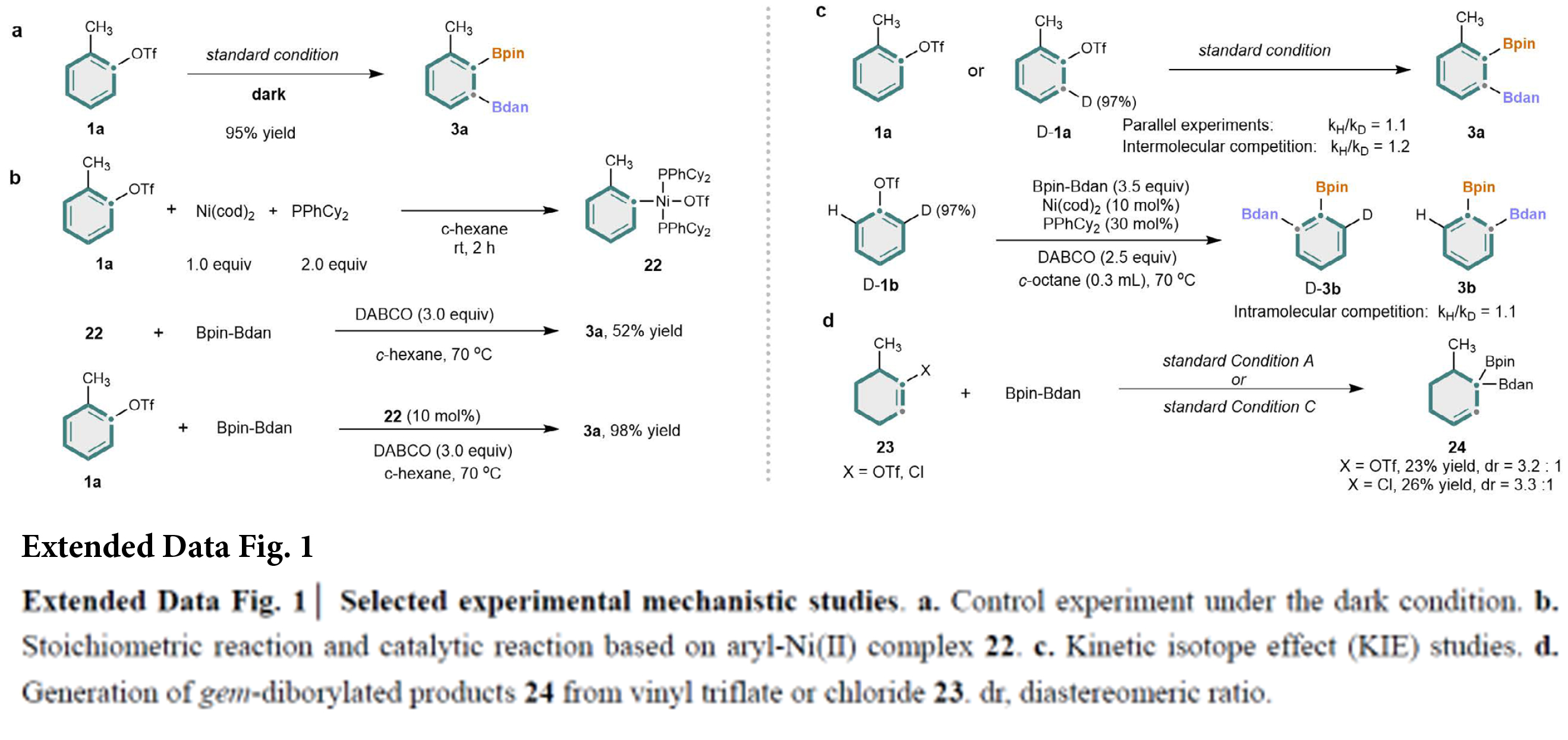 1751256131635427.jpg 7.jpg