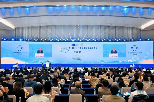 1766049909985191.png image.png