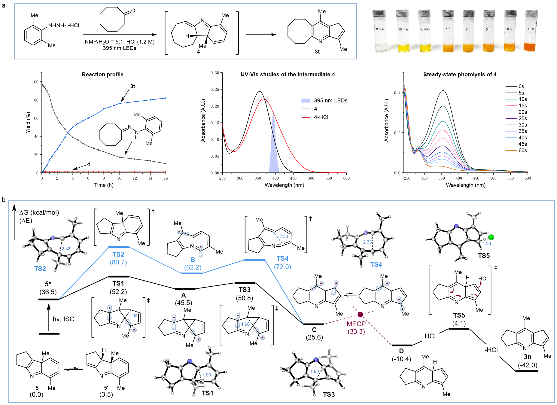 1770187989816753.png 131843A949C7FD685EEDE9B894F_15136867_7EEF8.png